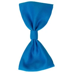 Peter Pan Wendy Darling Robe Cosplay Costume -Cosplay Peter Pan Wendy Darling Robe Cosplay Costume 10