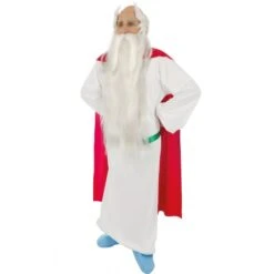 Déguisement Panoramix™ Adulte