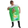 Déguisement Pringles™ Cream & Onion Adulte