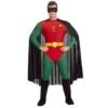 Déguisement Robin™ Batman Adulte